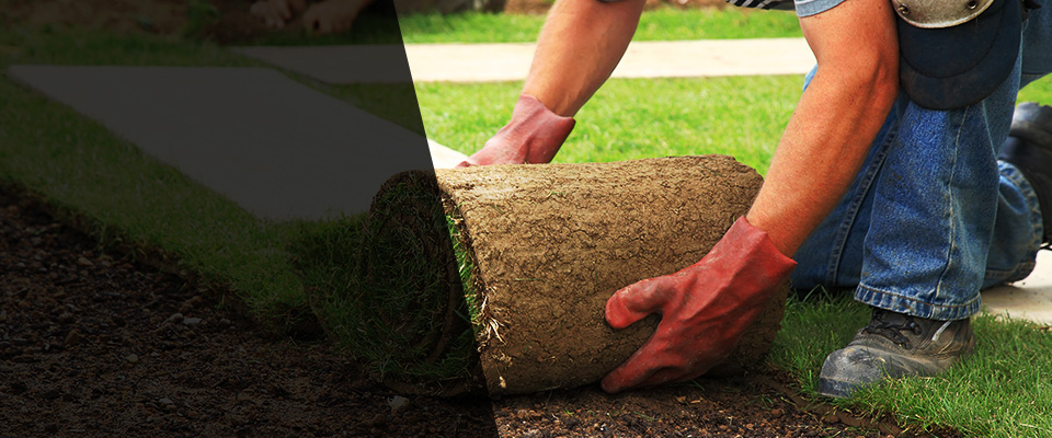 Mission Landscapers